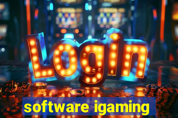 software igaming