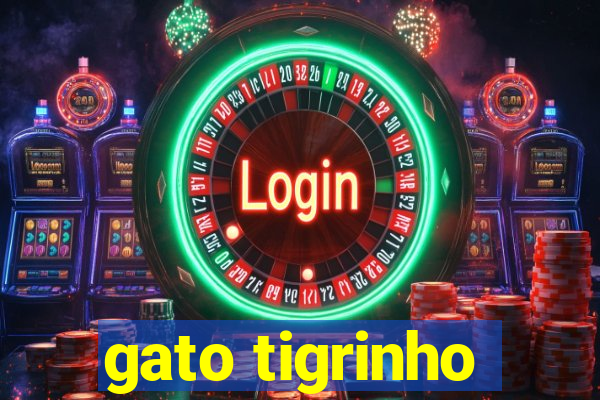 gato tigrinho