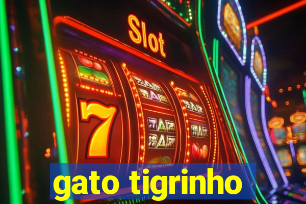 gato tigrinho