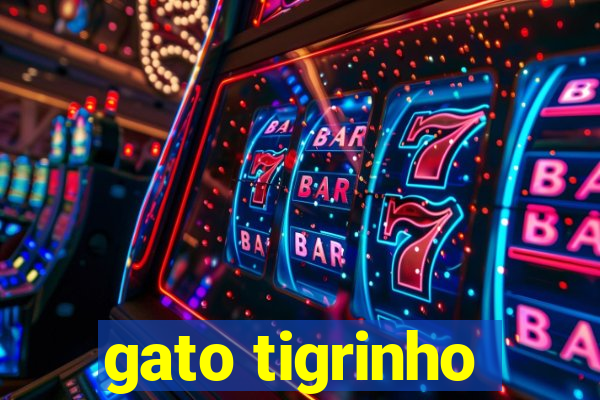 gato tigrinho