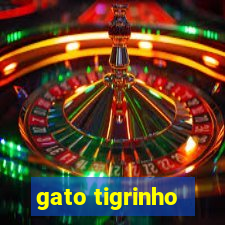 gato tigrinho