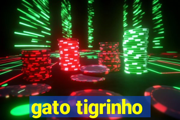 gato tigrinho