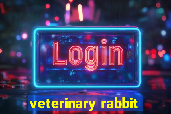 veterinary rabbit