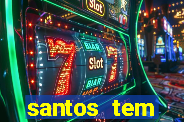 santos tem aeroporto comercial