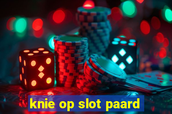 knie op slot paard