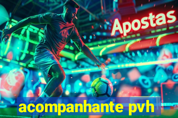 acompanhante pvh