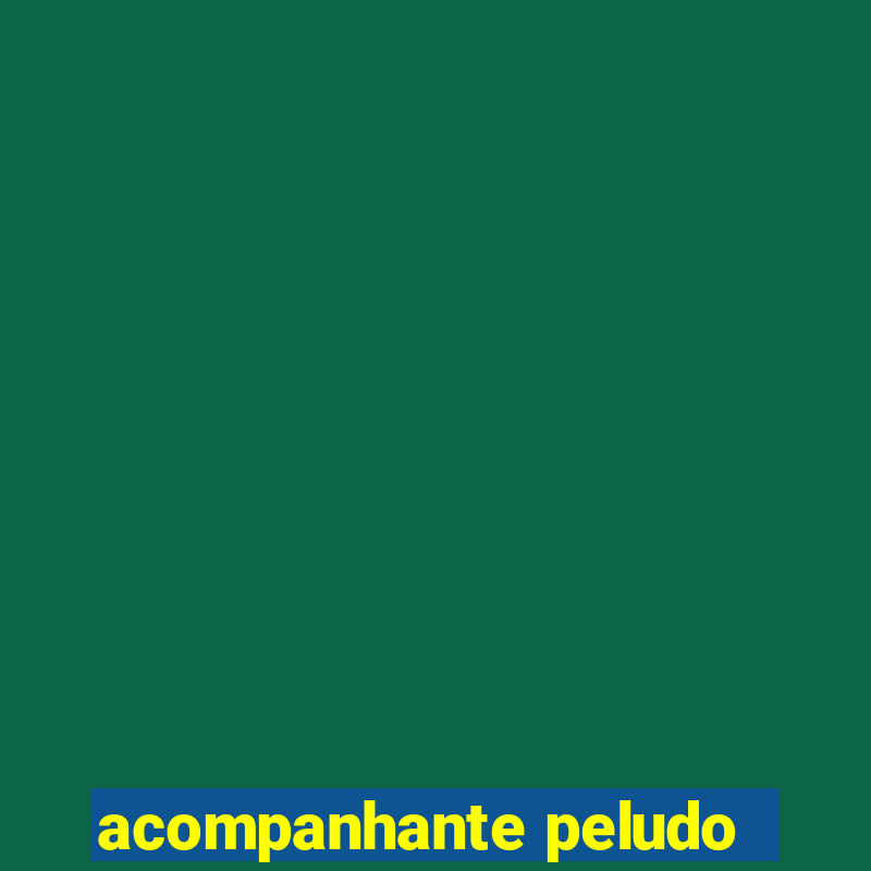 acompanhante peludo