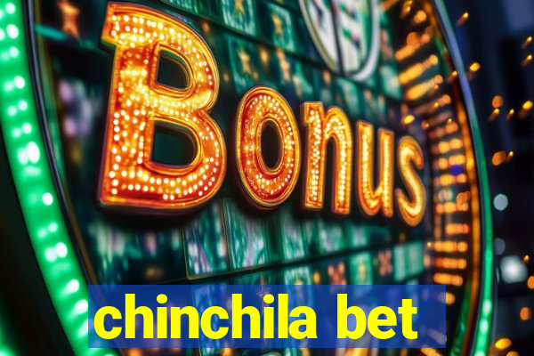 chinchila bet