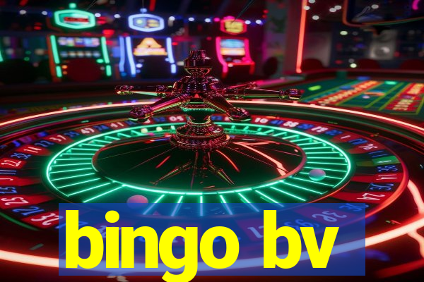 bingo bv