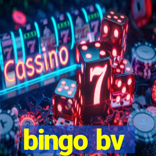 bingo bv