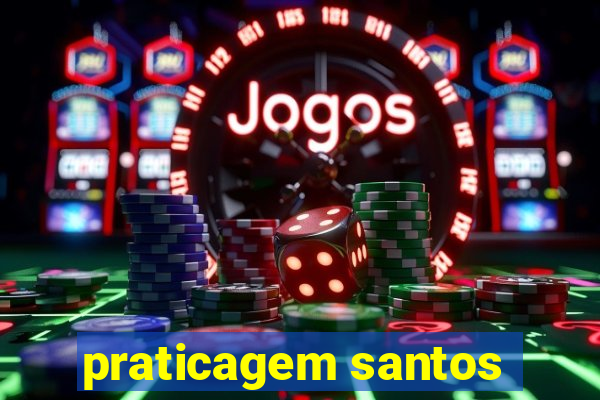 praticagem santos