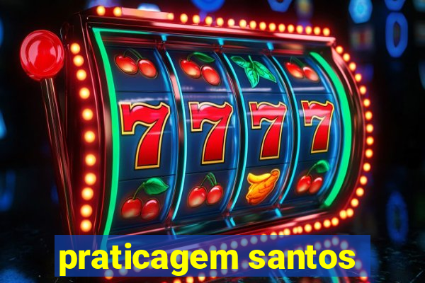 praticagem santos