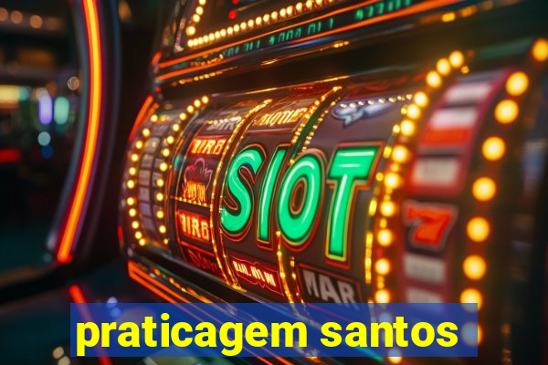 praticagem santos