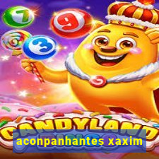 aconpanhantes xaxim