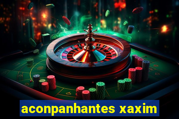 aconpanhantes xaxim