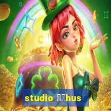 studio 姘搑hus