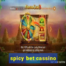 spicy bet cassino