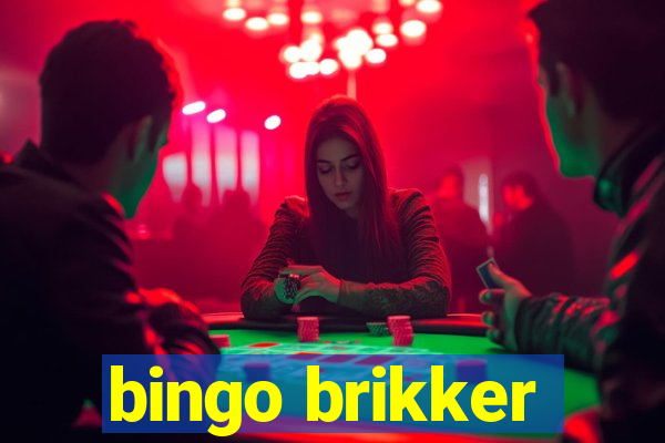 bingo brikker