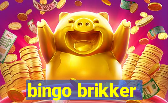 bingo brikker