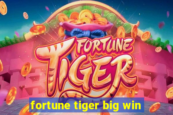 fortune tiger big win