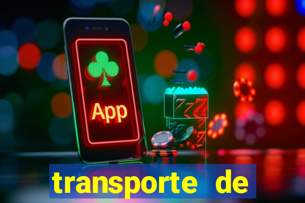 transporte de passageiros são jerônimo