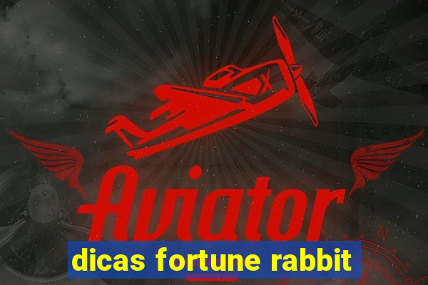 dicas fortune rabbit