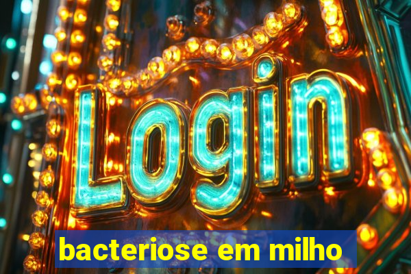 bacteriose em milho