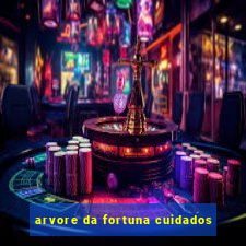 arvore da fortuna cuidados