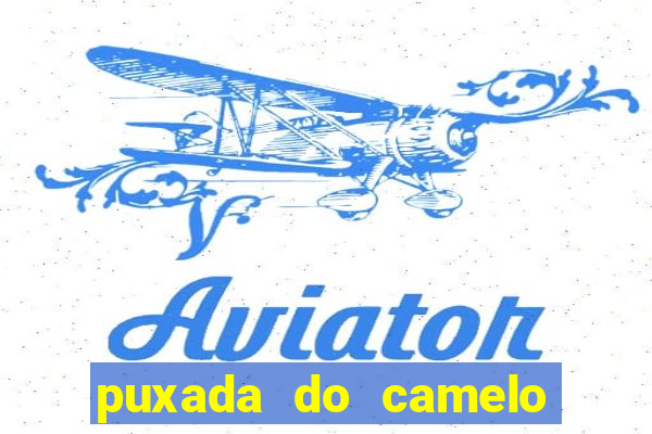 puxada do camelo no jogo do bicho