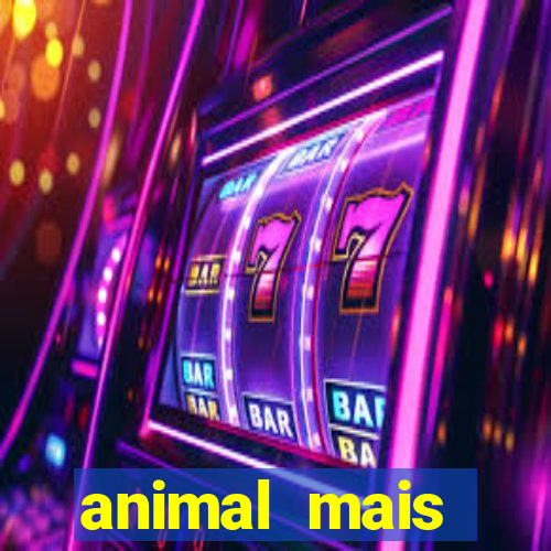 animal mais barulhento do mundo 230 decibeis