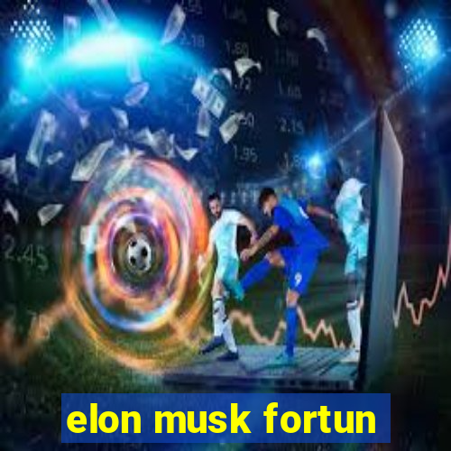 elon musk fortun