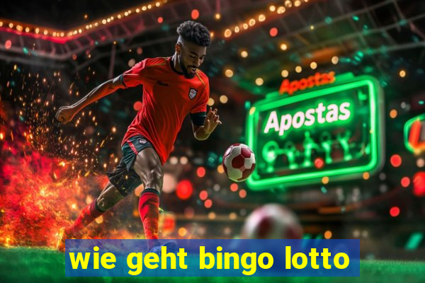 wie geht bingo lotto