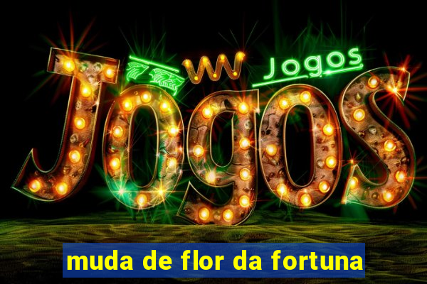 muda de flor da fortuna