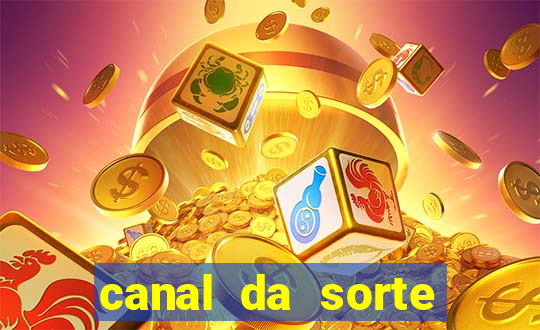 canal da sorte bingo de hoje