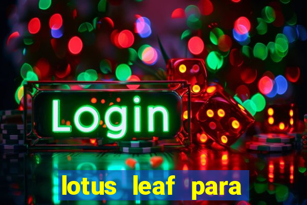 lotus leaf para que serve