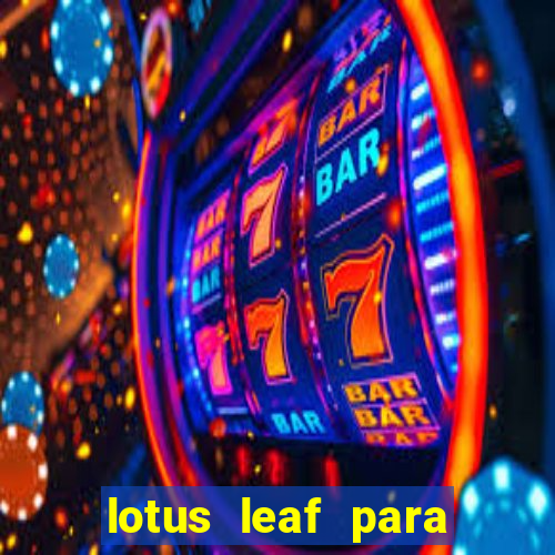 lotus leaf para que serve