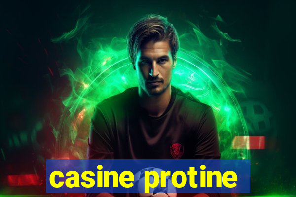 casine protine