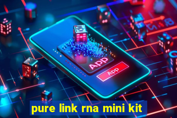 pure link rna mini kit