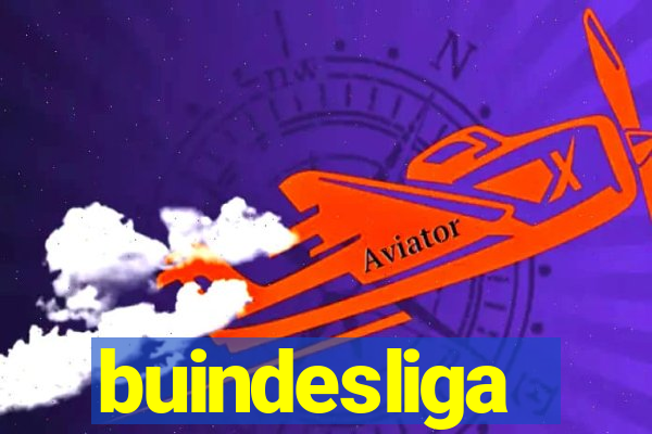 buindesliga