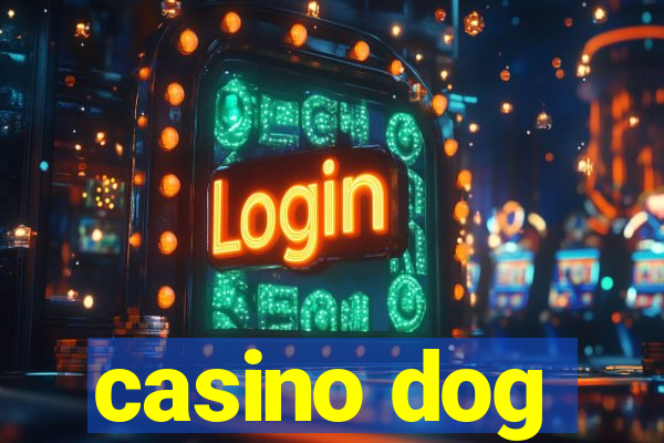 casino dog