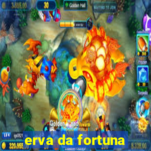 erva da fortuna