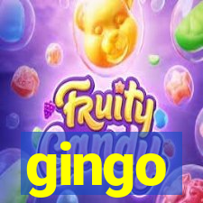 gingo