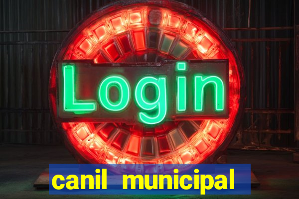 canil municipal porto alegre