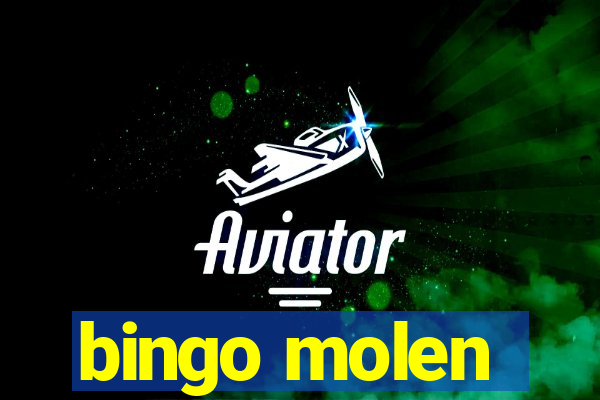 bingo molen