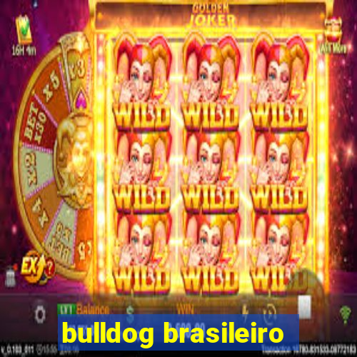 bulldog brasileiro