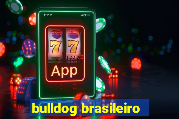 bulldog brasileiro