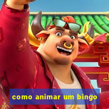 como animar um bingo