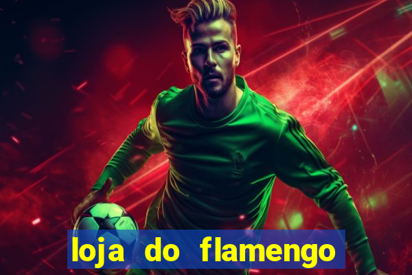 loja do flamengo na asa sul