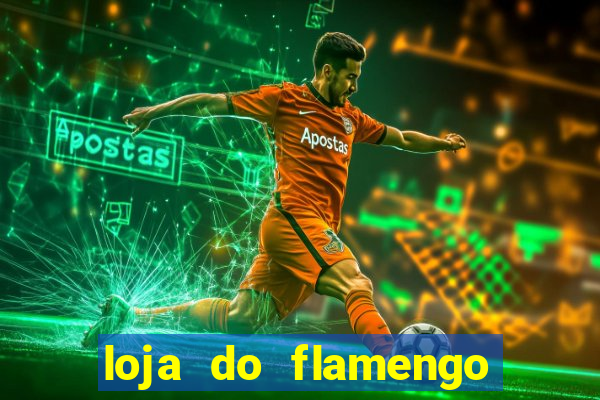 loja do flamengo na asa sul