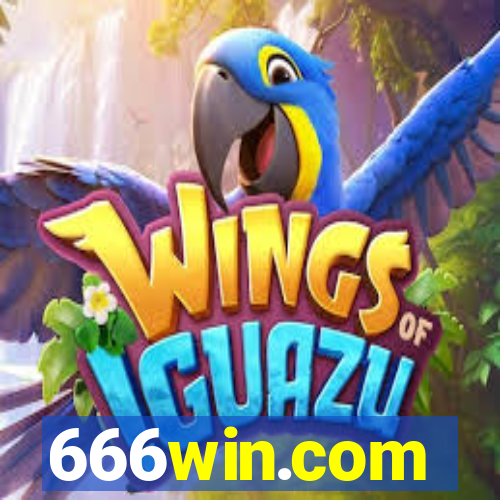 666win.com